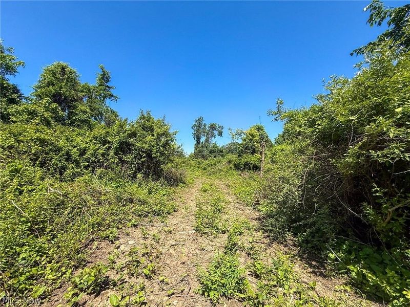 Lot 3 Altamont Rd, Mingo Junction, OH 43938 Photo 30