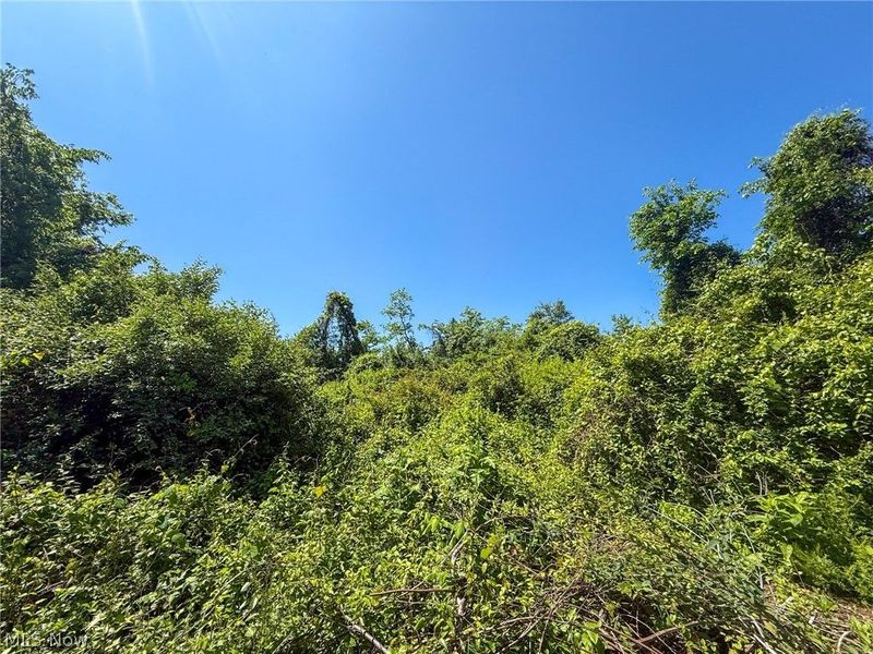 Lot 3 Altamont Rd, Mingo Junction, OH 43938 Photo 31