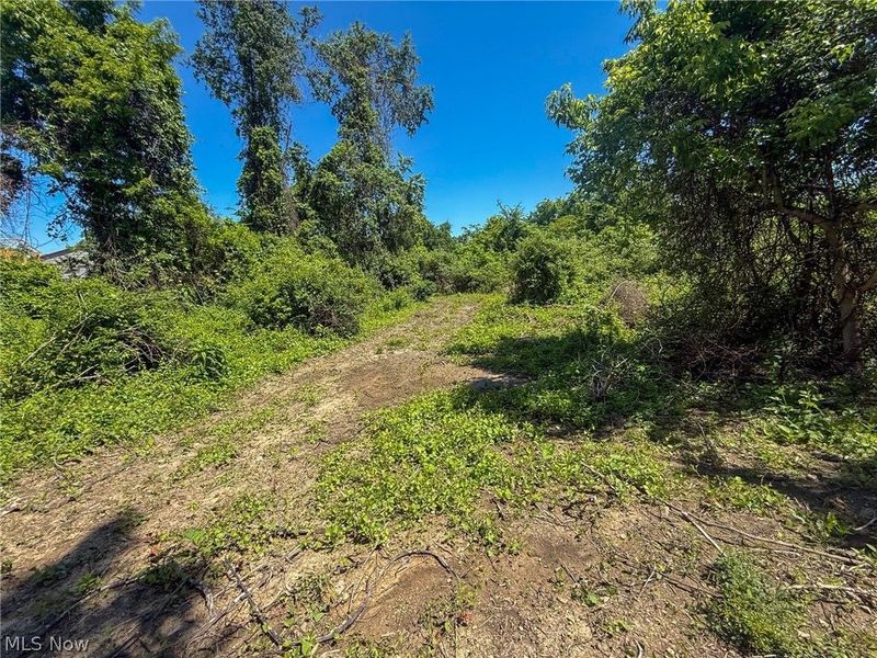 Lot 3 Altamont Rd, Mingo Junction, OH 43938 Photo 32