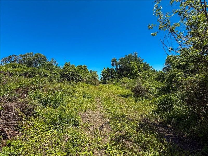 Lot 3 Altamont Rd, Mingo Junction, OH 43938 Photo 4