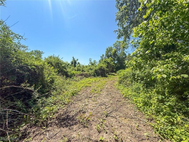 Lot 3 Altamont Rd, Mingo Junction, OH 43938 Photo 5