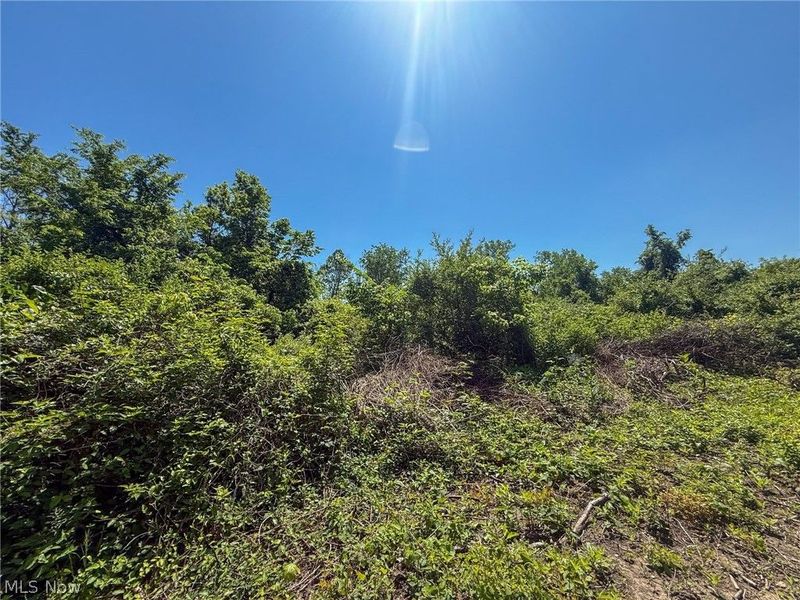 Lot 3 Altamont Rd, Mingo Junction, OH 43938 Photo 6