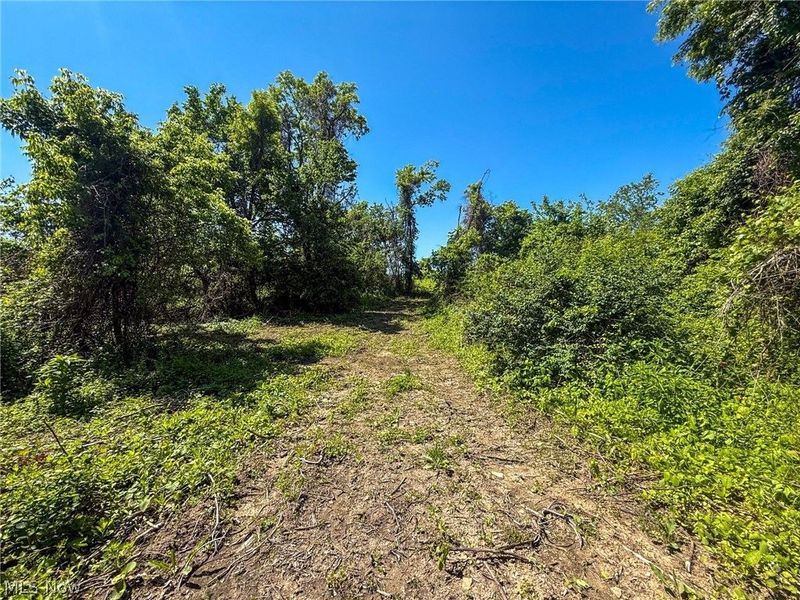 Lot 3 Altamont Rd, Mingo Junction, OH 43938 Photo 7