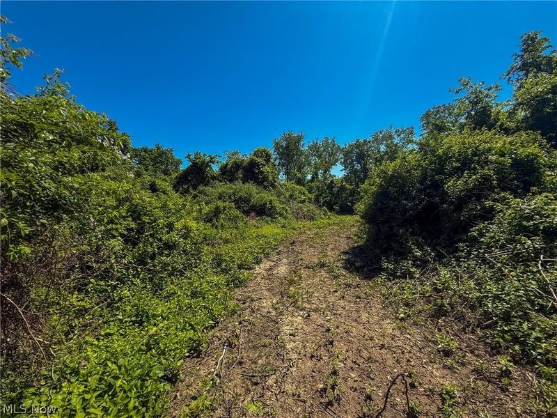 Lot 3 Altamont Rd, Mingo Junction, OH 43938 Photo 8