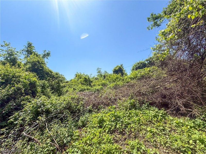 Lot 3 Altamont Rd, Mingo Junction, OH 43938 Photo 9