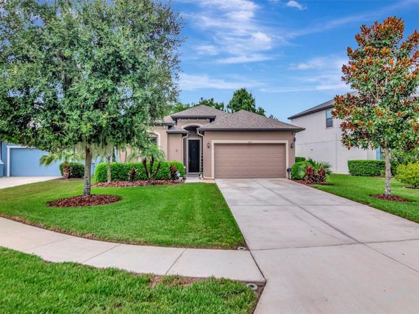 8213 SUMMER BROOK COURT , LAND O LAKES, FL 34638