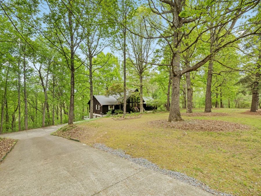 Property Image 52