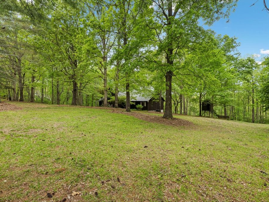 Property Image 58