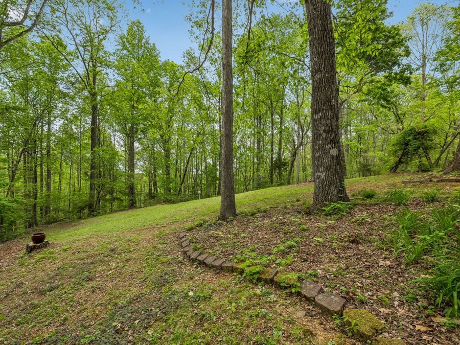 Property Image 64