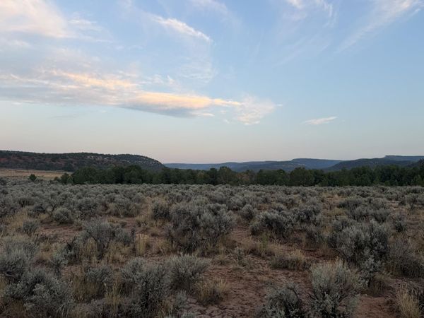 TBD S 9 8/10 Road , Glade Park, CO 81523