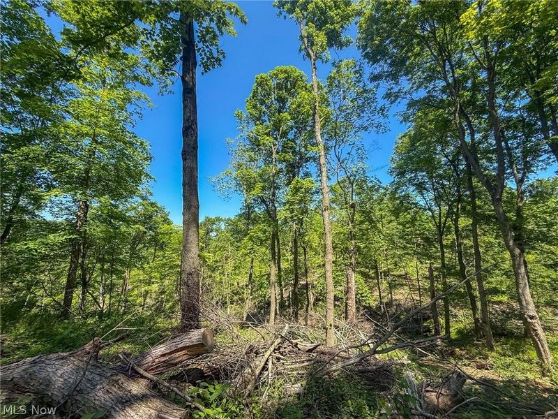 Lot 4 Altamont Rd, Mingo Junction, OH 43938 Photo 10