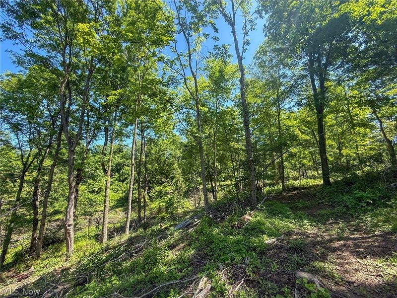 Lot 4 Altamont Rd, Mingo Junction, OH 43938 Photo 11
