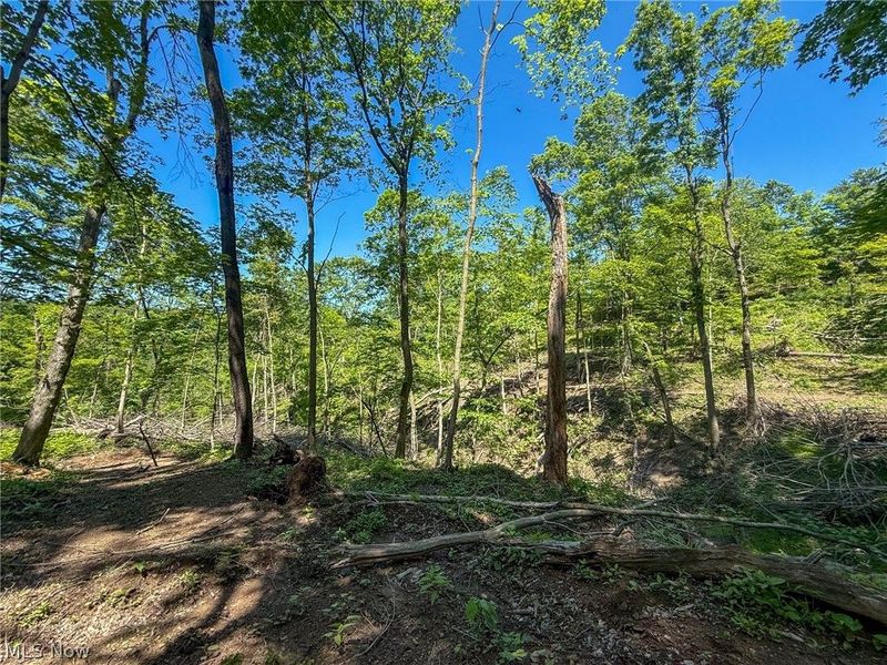 Lot 4 Altamont Rd, Mingo Junction, OH 43938 Photo 12