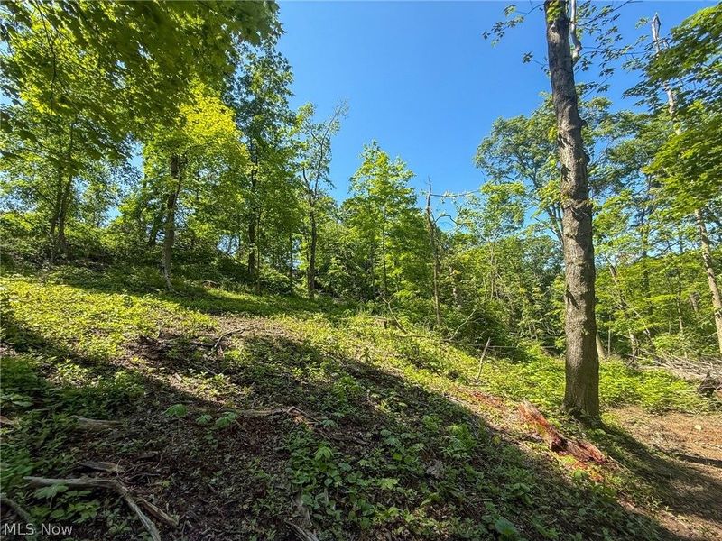 Lot 4 Altamont Rd, Mingo Junction, OH 43938 Photo 13