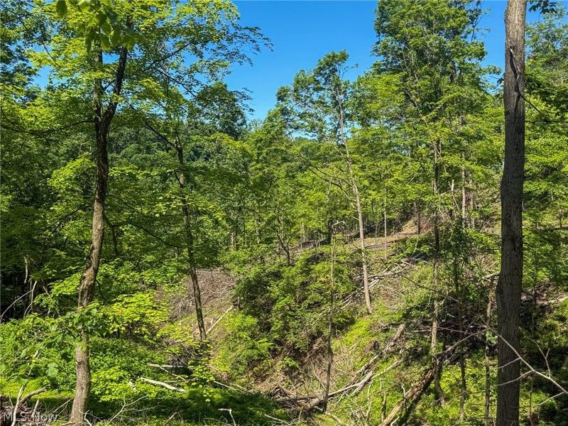 Lot 4 Altamont Rd, Mingo Junction, OH 43938 Photo 14