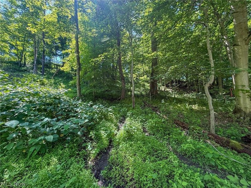 Lot 4 Altamont Rd, Mingo Junction, OH 43938 Photo 15