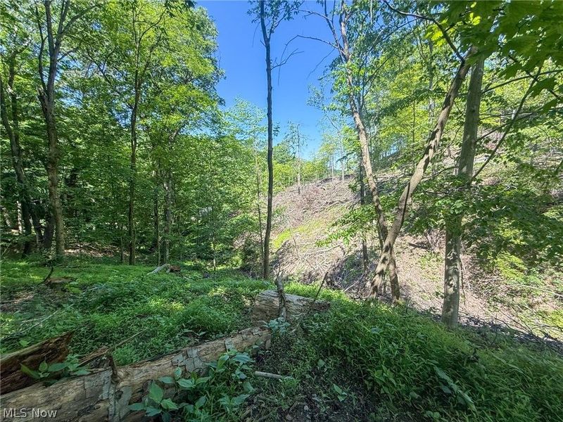 Lot 4 Altamont Rd, Mingo Junction, OH 43938 Photo 16