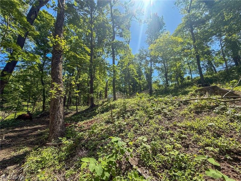 Lot 4 Altamont Rd, Mingo Junction, OH 43938 Photo 17