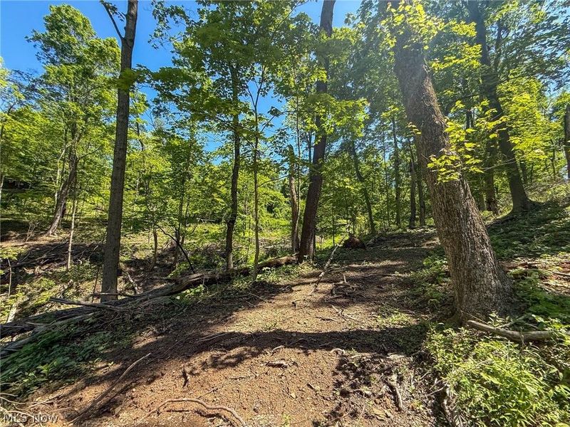 Lot 4 Altamont Rd, Mingo Junction, OH 43938 Photo 18