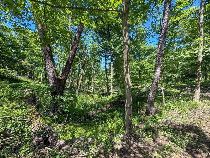 Lot 4 Altamont Rd, Mingo Junction, OH 43938 Photo 19