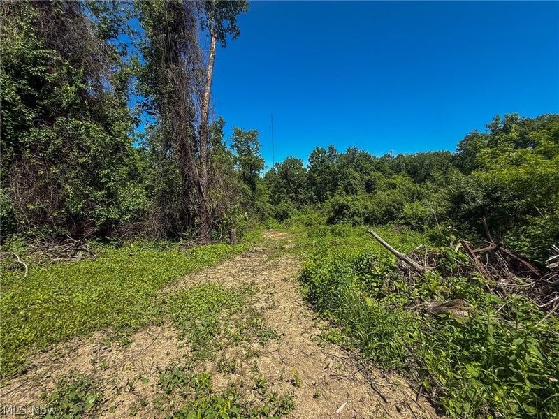 Lot 4 Altamont Rd, Mingo Junction, OH 43938 Photo 2