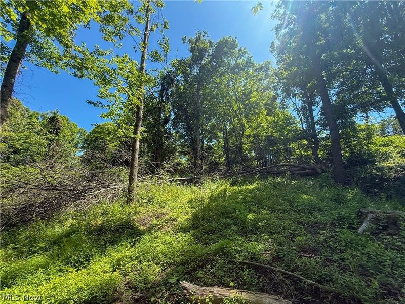 Lot 4 Altamont Rd, Mingo Junction, OH 43938 Photo 20