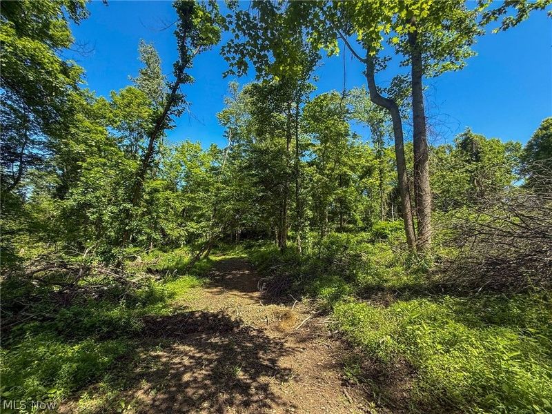 Lot 4 Altamont Rd, Mingo Junction, OH 43938 Photo 21