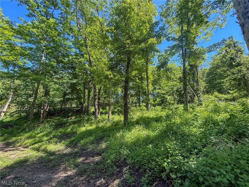 Lot 4 Altamont Rd, Mingo Junction, OH 43938 Photo 22