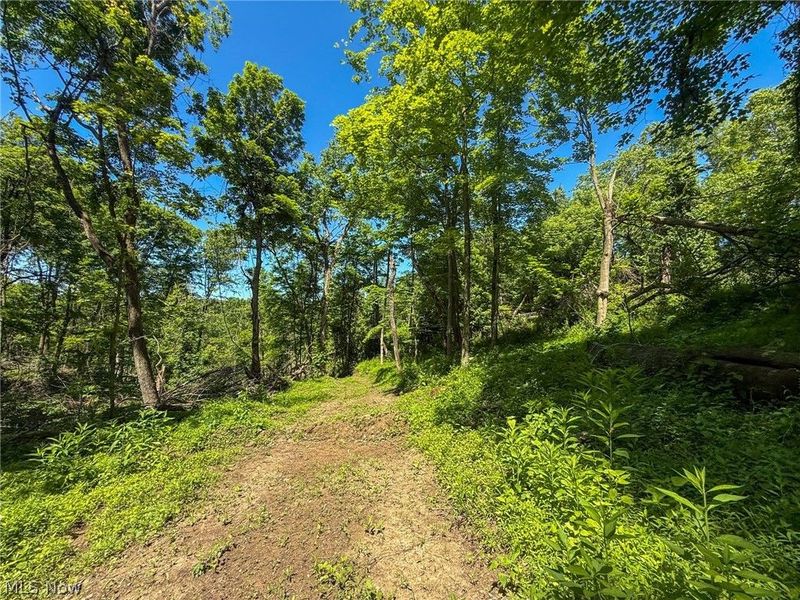 Lot 4 Altamont Rd, Mingo Junction, OH 43938 Photo 23