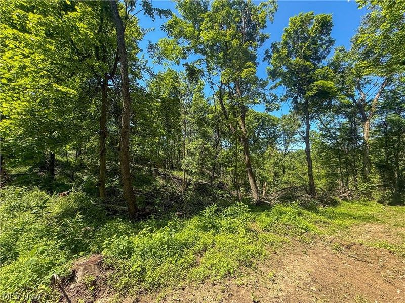 Lot 4 Altamont Rd, Mingo Junction, OH 43938 Photo 24