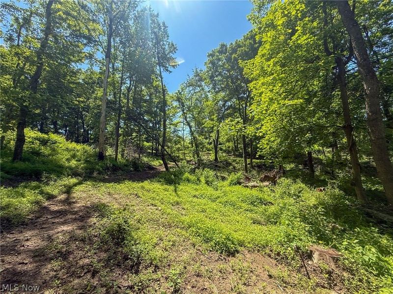 Lot 4 Altamont Rd, Mingo Junction, OH 43938 Photo 25