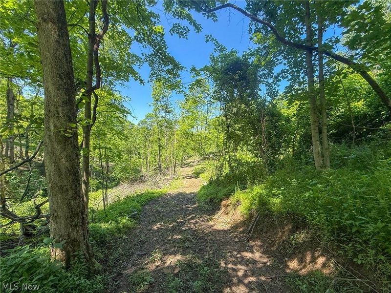 Lot 4 Altamont Rd, Mingo Junction, OH 43938 Photo 26
