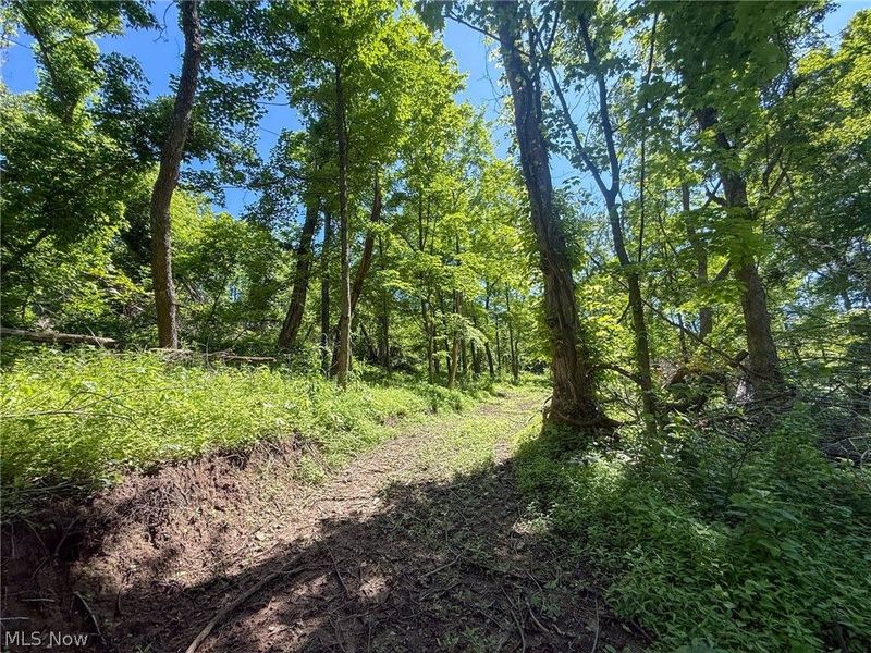 Lot 4 Altamont Rd, Mingo Junction, OH 43938 Photo 27