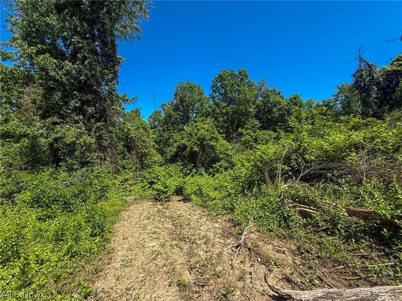 Lot 4 Altamont Rd, Mingo Junction, OH 43938 Photo 3