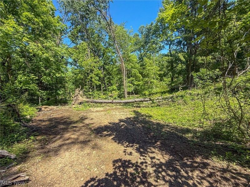 Lot 4 Altamont Rd, Mingo Junction, OH 43938 Photo 4