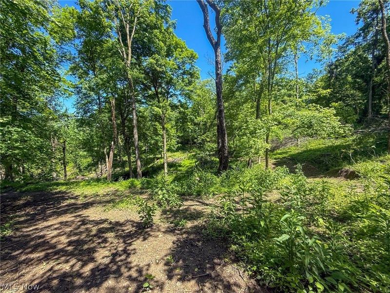 Lot 4 Altamont Rd, Mingo Junction, OH 43938 Photo 5