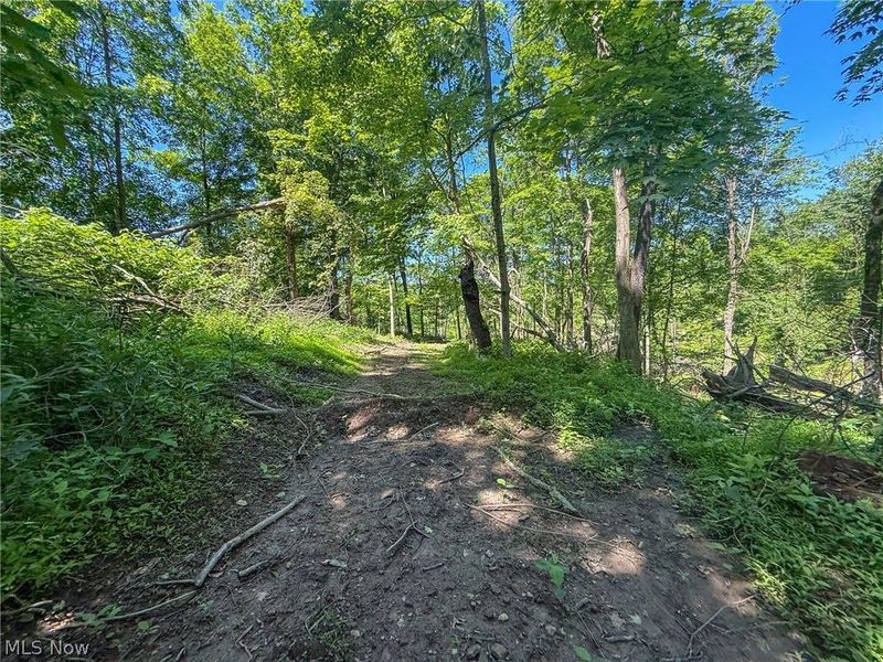 Lot 4 Altamont Rd, Mingo Junction, OH 43938 Photo 6