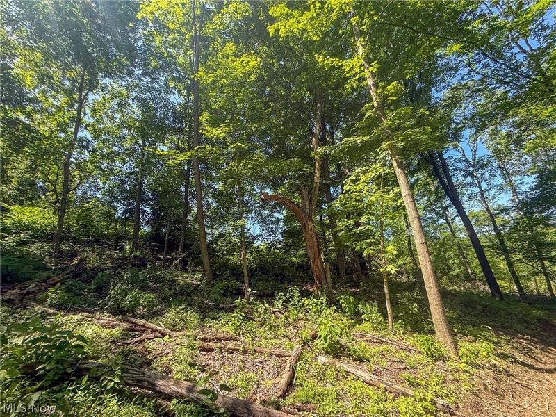 Lot 4 Altamont Rd, Mingo Junction, OH 43938 Photo 7