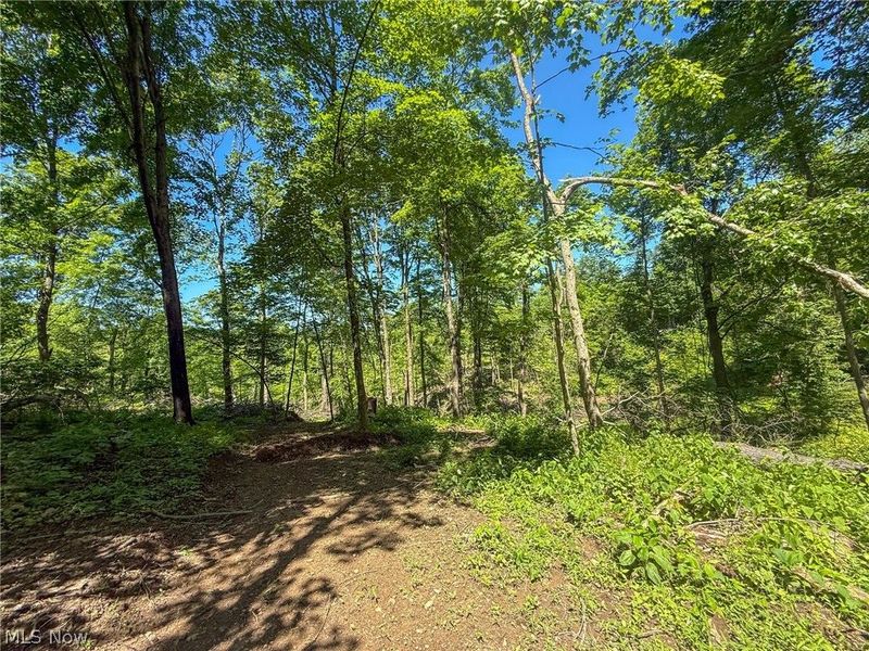 Lot 4 Altamont Rd, Mingo Junction, OH 43938 Photo 8