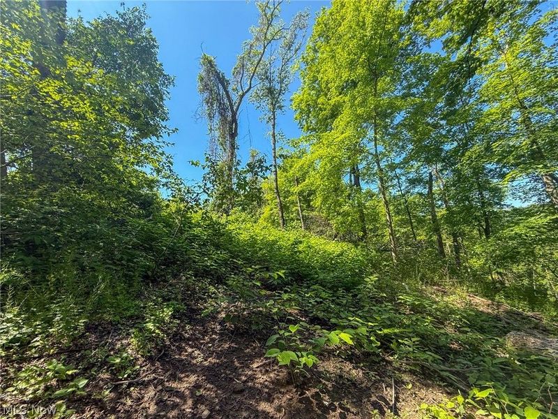 Lot 4 Altamont Rd, Mingo Junction, OH 43938 Photo 9