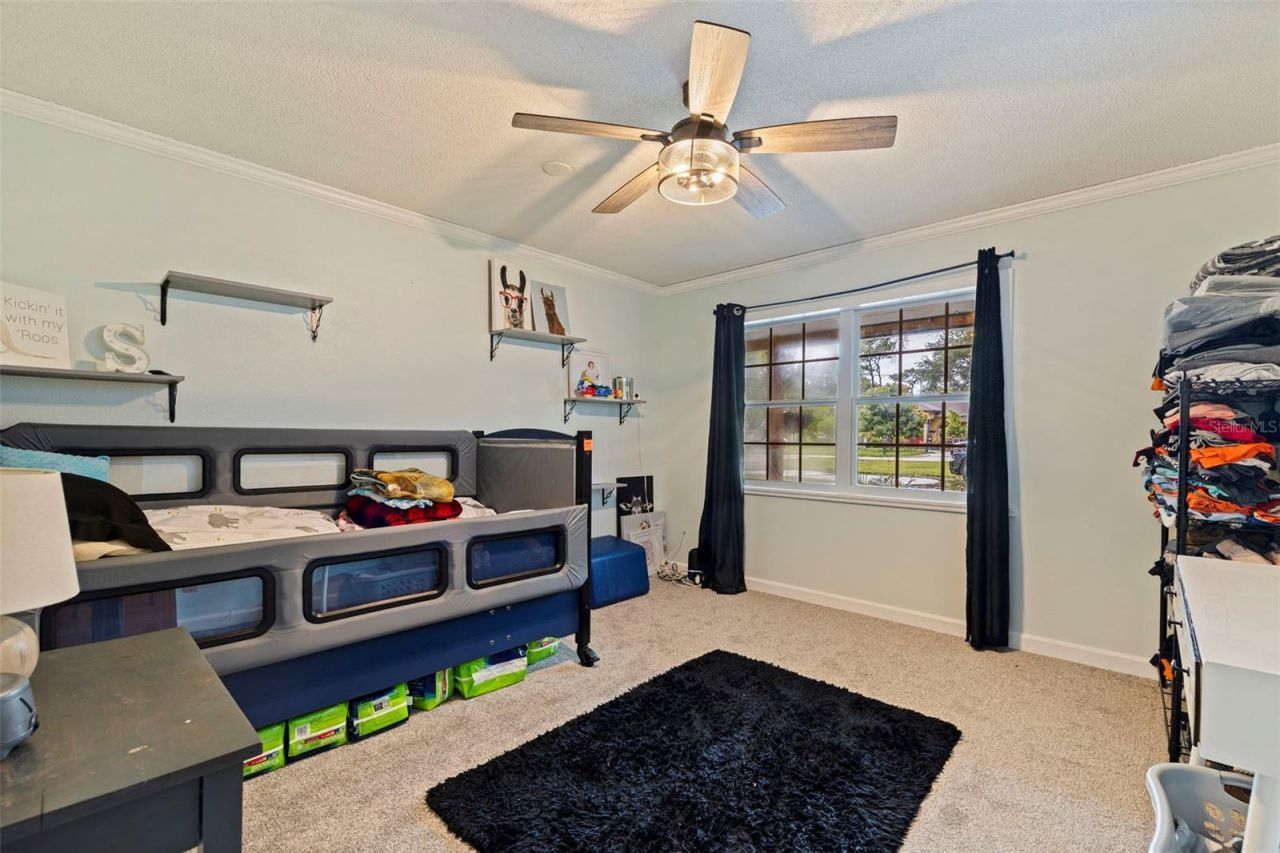 8701 64th Street N, Pinellas Park, FL 33782 Photo