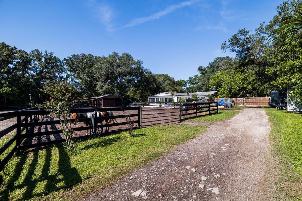 8701 64th Street N, Pinellas Park, FL 33782 Photo