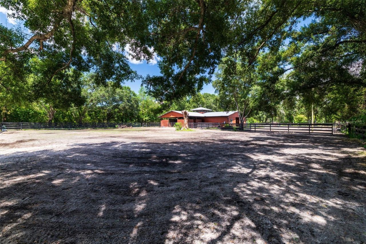 8701 64th Street N, Pinellas Park, FL 33782 Photo