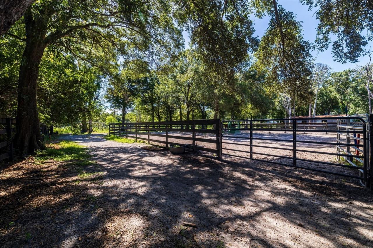 8701 64th Street N, Pinellas Park, FL 33782 Photo