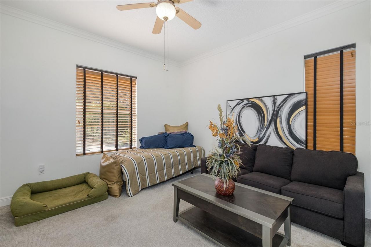 10628 Pontofino Circle, Trinity, FL 34655 Photo
