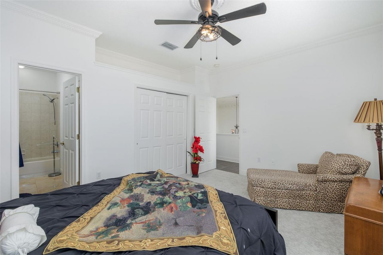 10628 Pontofino Circle, Trinity, FL 34655 Photo