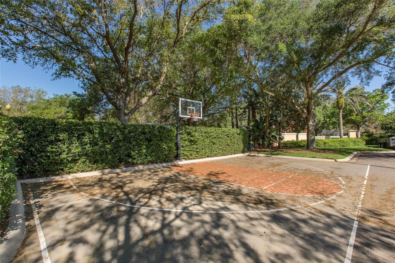 10628 Pontofino Circle, Trinity, FL 34655 Photo