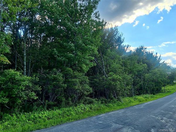 Burnt Ridge Road , Fallsburg, NY 12733