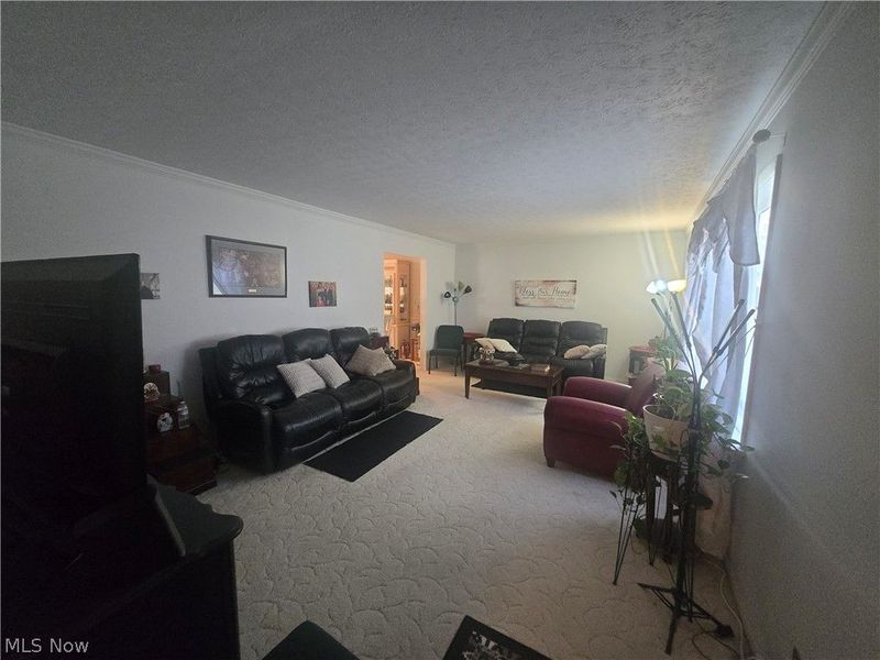 909 NE Willard Avenue NE, Warren, OH 44483 Photo 13