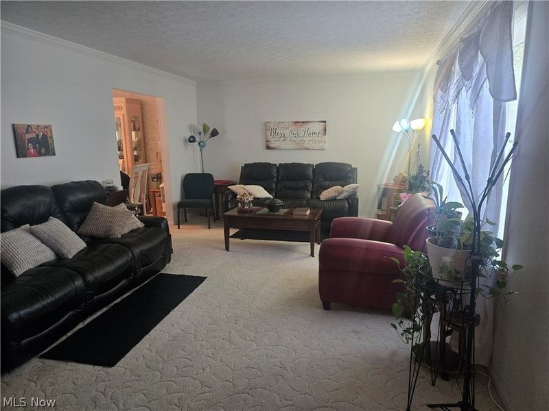 909 NE Willard Avenue NE, Warren, OH 44483 Photo 4